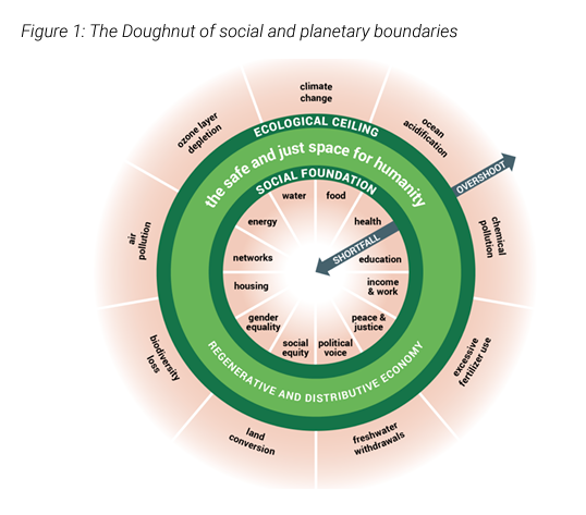 Doughnut Economy : comment l'appliquer en entreprise ?